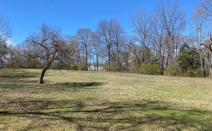 Pictures of Land property located at 2559 John Dodd Rd, Wellford, SC 29385 for sales - image #1