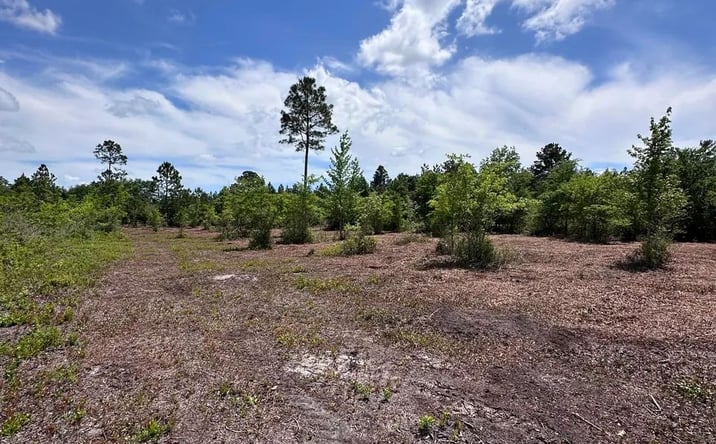 Pictures of Land property located at 0 Hwy 280, Pembroke, GA 31321 for sales - image #1