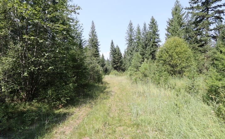 Pictures of Land property located at NHN Tract 1C E Fork Combest Creek Road, Plains, MT 59859 for sales - image #1