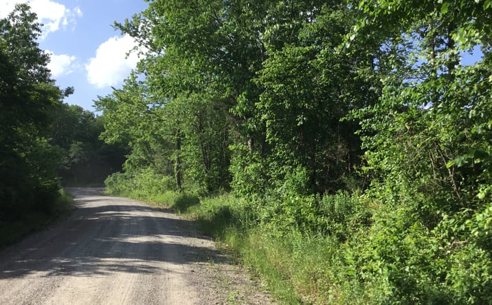 Pictures of Land property located at Highway 314, Plainview, AR 72857 for sales - image #1