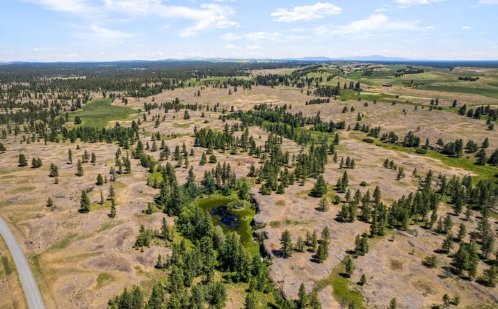 Pictures of Land property located at S Pine Springs Rd 27000 Block, Cheney, WA 99004 for sales - image #1