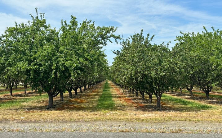 Pictures of Land property located at W Clarkson Ave, Caruthers, CA 93609 for sales - image #1