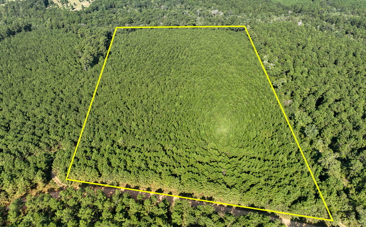 Pictures of Land property located at Shady Grove Rd, Woodville, TX 75979 for sales - image #1