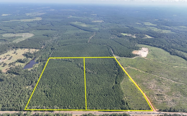 Pictures of Land property located at Hwy 190 T-7, Woodville, TX 75979 for sales - image #1