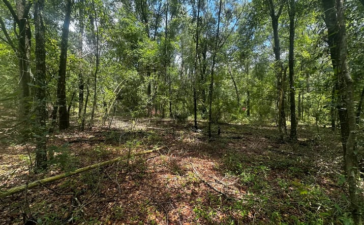 Pictures of Land property located at NE Champion Loop, Lee, FL 32059 for sales - image #1