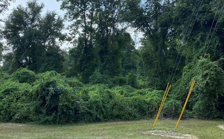 Pictures of Land property located at 223 E. Sunnybrook Rd Lot 1318, Carriere, MS 39466 for sales - image #1