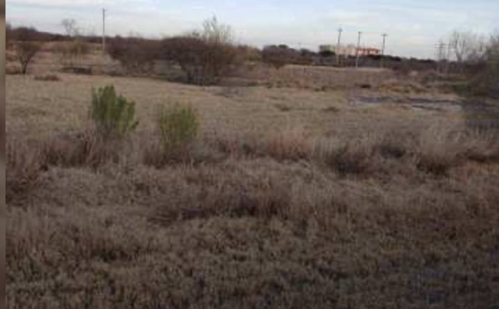 Pictures of Land property located at Park Place, Kenedy, TX 78119 for sales - image #1