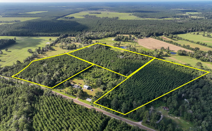Pictures of Land property located at 6 FM 1013, Mount Union, TX 75956 for sales - image #1
