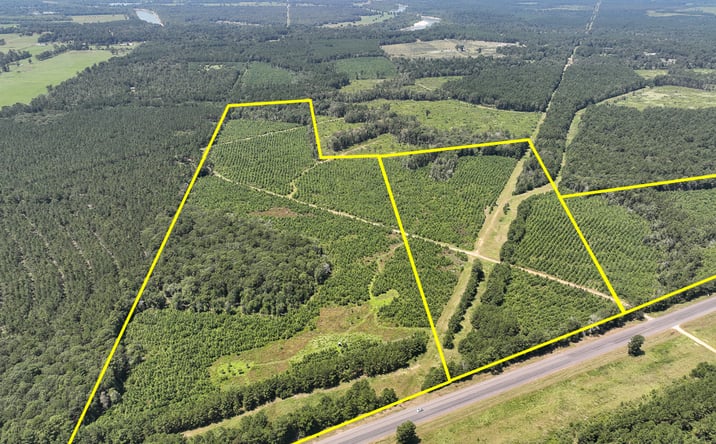 Pictures of Land property located at 03 Highway 146, Ace, TX 77351 for sales - image #1