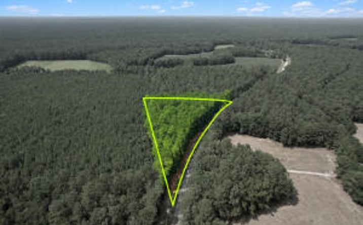 Pictures of Land property located at 000 Hoodtown, Moncks Corner, SC 29461 for sales - image #1