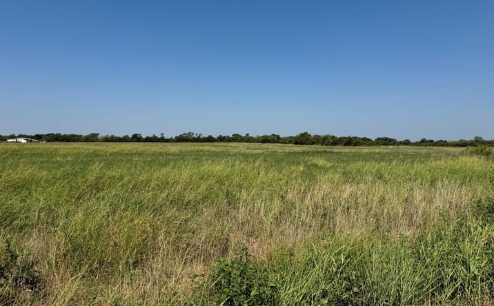Pictures of Land property located at 0000 Cr-626 Blue Ridge, Blue Ridge, TX 75424 for sales - image #1