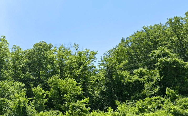 Pictures of Land property located at Gallahan Rd, Clinton, MD 20735 for sales - image #1