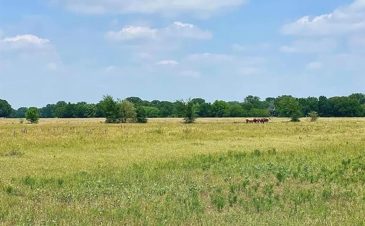 Pictures of Land property located at TBD S HWY 34 FM, Scurry, TX 75158 for sales - image #1