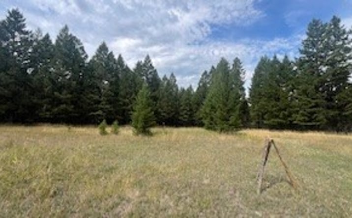 Pictures of Land property located at 1615 Truman Creek Road, Kila, MT 59920 for sales - image #1