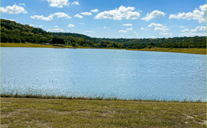 Pictures of Land property located at NWQ FM 1174, Bertram, TX 78605 for sales - image #1