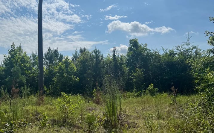Pictures of Land property located at Boggy Bayou 142, Pine Bluff, AR 71603 for sales - image #1