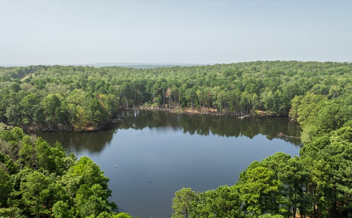Pictures of Land property located at 14524 Lawson Road, Little Rock, AR 72210 for sales - image #1