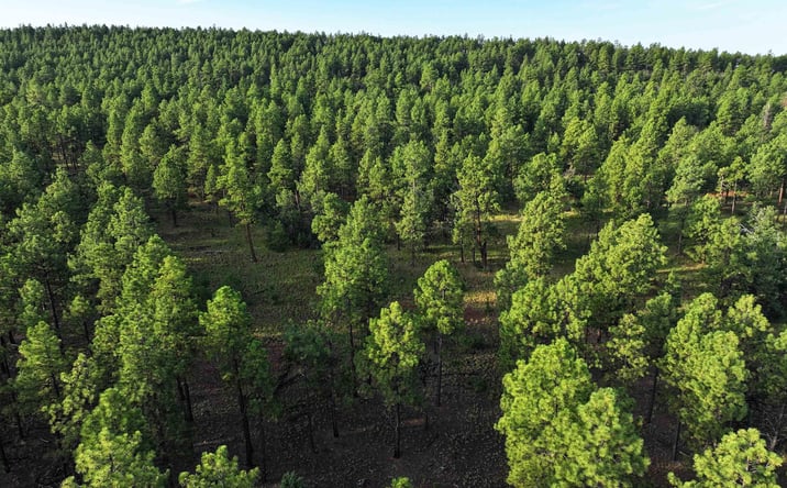 Pictures of Land property located at 000 Forest Road 157, Bluewater, NM 87005 for sales - image #1