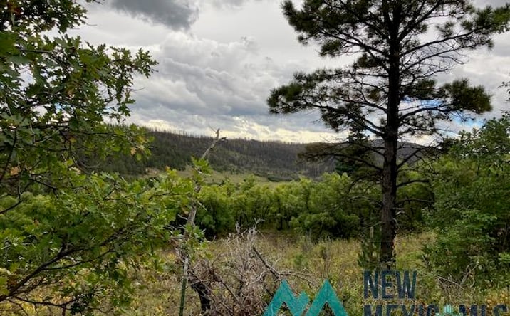 Pictures of Land property located at Tract 1 La Sierra Road, Holman, NM 87723 for sales - image #1