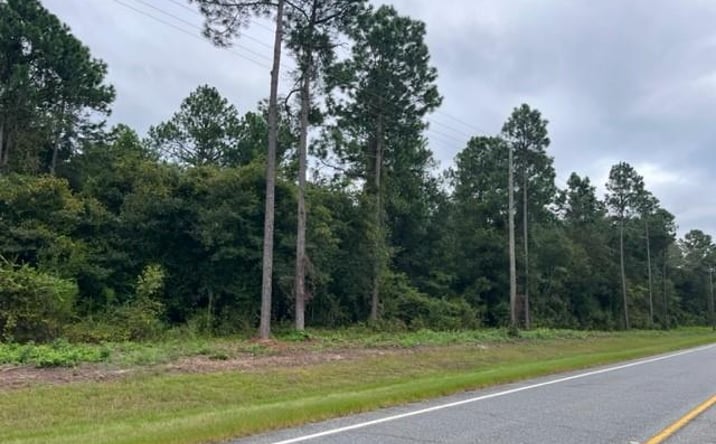 Pictures of Land property located at 414 DOC DARBYSHIRE RD, Moultrie, GA 31788 for sales - image #1