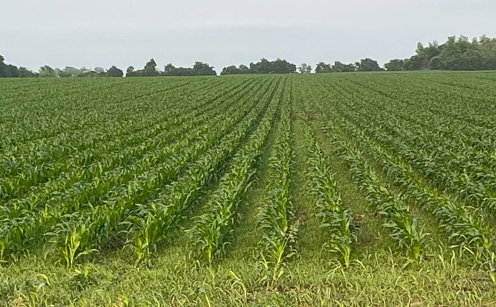Pictures of Land property located at 5357 FM973, Taylor, TX 76574 for sales - image #1