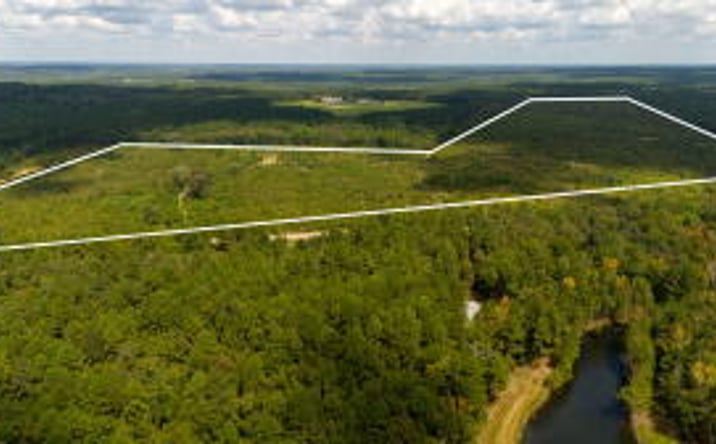Pictures of Land property located at 0 Camp Rawls Road, Wagener, SC 29164 for sales - image #1