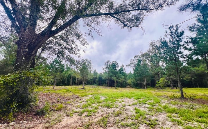 Pictures of Land property located at NHN Egg Farm Road Extension, Poplarville, MS 39470 for sales - image #1