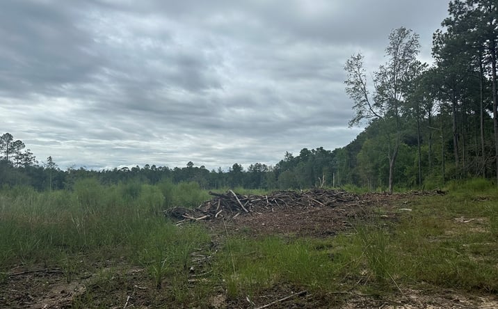 Pictures of Land property located at 240 Baucum Road, Carriere, MS 39426 for sales - image #1