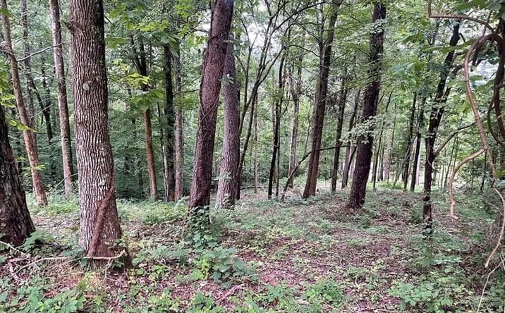 Pictures of Land property located at Lots 15&23 Spring Creek Taxiway, Albany, KY 42602 for sales - image #1