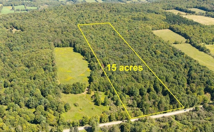 Pictures of Land property located at Lot 2 Warren Road, Delhi, NY 13753 for sales - image #1