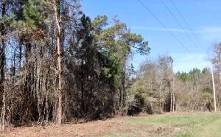 Pictures of Land property located at 00 Spring Branch Road, Harleyville, SC 29448 for sales - image #1