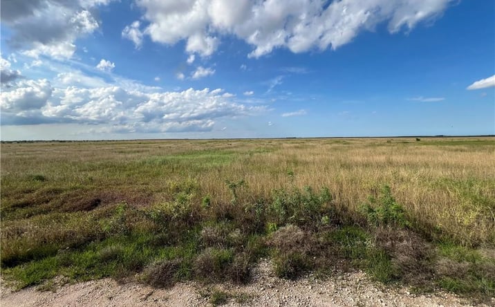 Pictures of Land property located at 000 Jaritas Road, Monte Alto, TX 78538 for sales - image #1