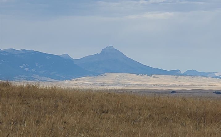 Pictures of Land property located at NHN N Tamarack Drive, Augusta, MT 59410 for sales - image #1
