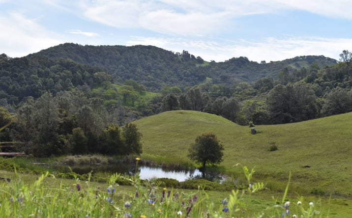 Pictures of Land property located at Cypress Mountain Rd, Templeton, CA 93465 for sales - image #1