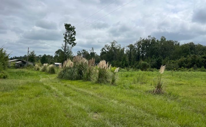 Pictures of Land property located at 6159 BRACKIN ROAD, Donalsonville, GA 39845 for sales - image #1