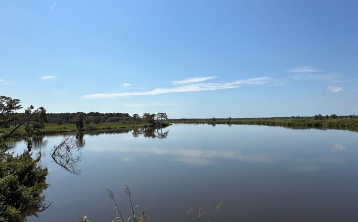 Pictures of Land property located at 1231 River Dr SW, Darien, GA 31305 for sales - image #1