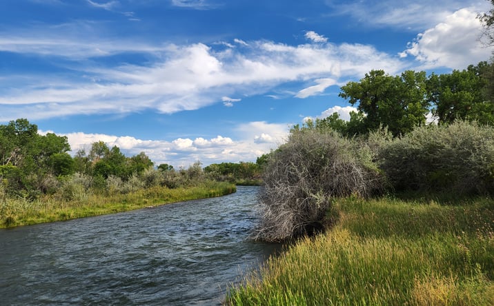 Pictures of Multifamily, Mixed Use, Land property located at 461 West Main Street, Montrose, CO 81403 for sales - image #1