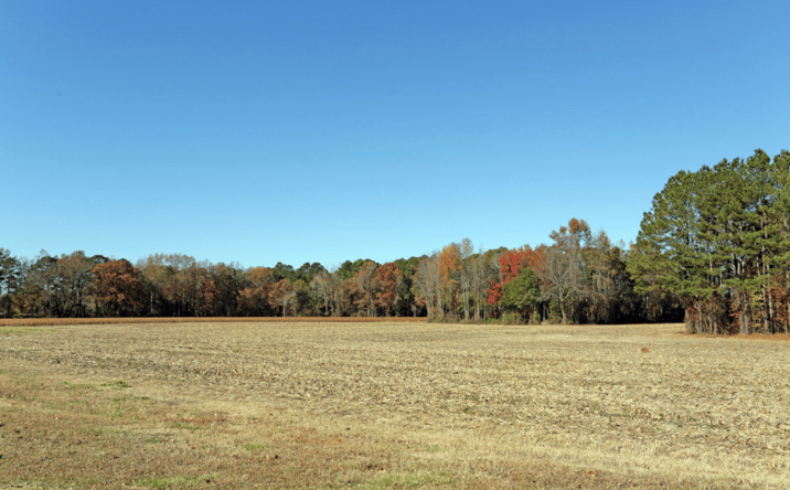 Pictures of Land property located at 6004 St Rose Church Rd, Wilson, NC 27893 for sales - image #1