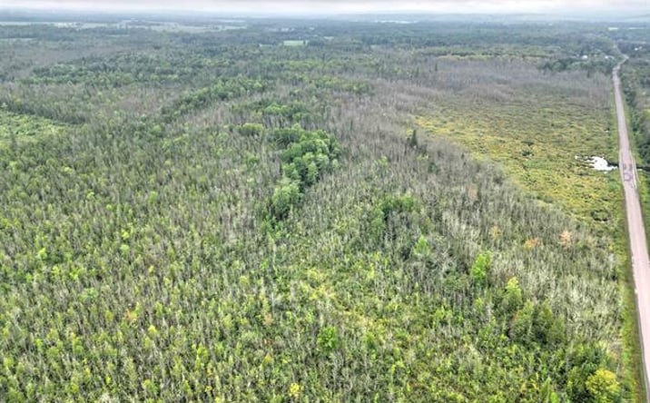 Pictures of Land property located at TBD Froberg Rd, Baraga, MI 49908 for sales - image #1