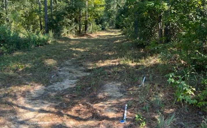 Pictures of Land property located at Downs Rd, Quincy, FL 32352 for sales - image #1