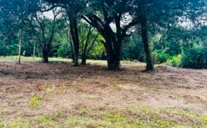 Pictures of Land property located at 00 Hatchaway Bridge Road, Aiken, SC 29801 for sales - image #1