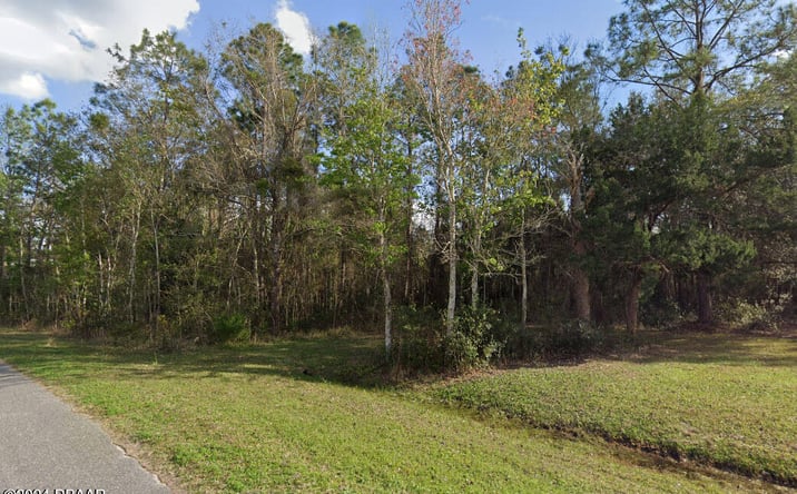 Pictures of Land property located at 257 Harbor Drive, Palatka, FL 32177 for sales - image #1
