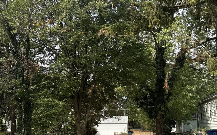 Pictures of Land property located at 577 S Napoleon Avenue, Columbus, OH 43213 for sales - image #1
