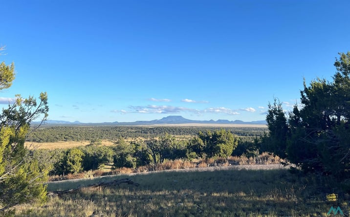 Pictures of Land property located at Tomahawk Trail, Quemado, NM 87829 for sales - image #1