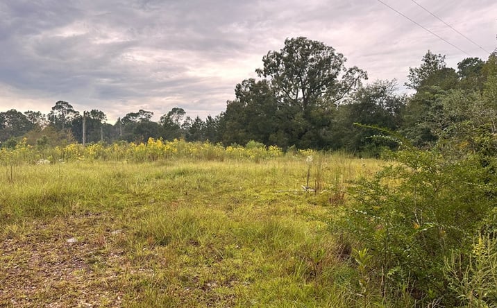 Pictures of Land property located at 153 Dewberry LN, Moultrie, GA 31768 for sales - image #1