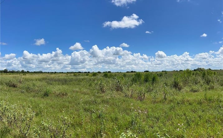 Pictures of Land property located at 00 Davila Road, Edinburg, TX 78542 for sales - image #1