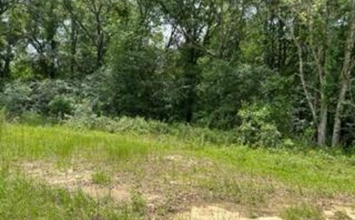 Pictures of Land property located at Lot 35 Veteran's Parkway, Moultrie, GA 31788 for sales - image #1
