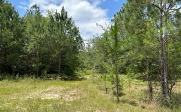 Pictures of Land property located at Lot 36 Veteran's Parkway, Moultrie, GA 31788 for sales - image #1