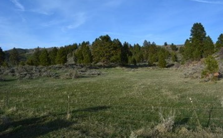 Pictures of Land property located at TBD Russell 318, Prairie, ID 83647 for sales - image #1