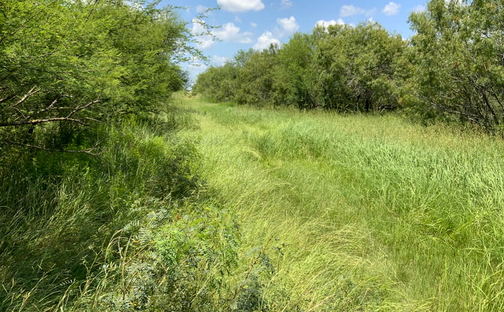 Pictures of Land property located at 14112 County Rd 1196, Sinton, TX 78387 for sales - image #1